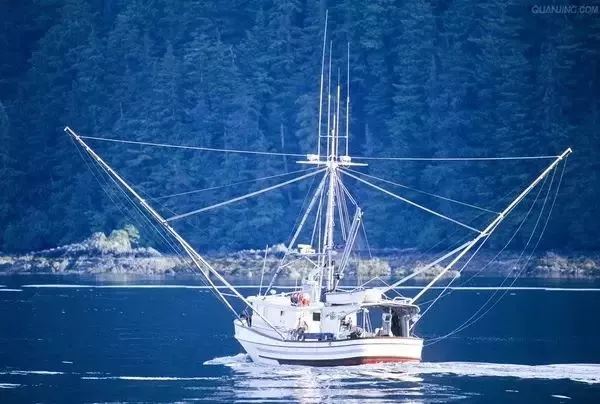 Longline fishing